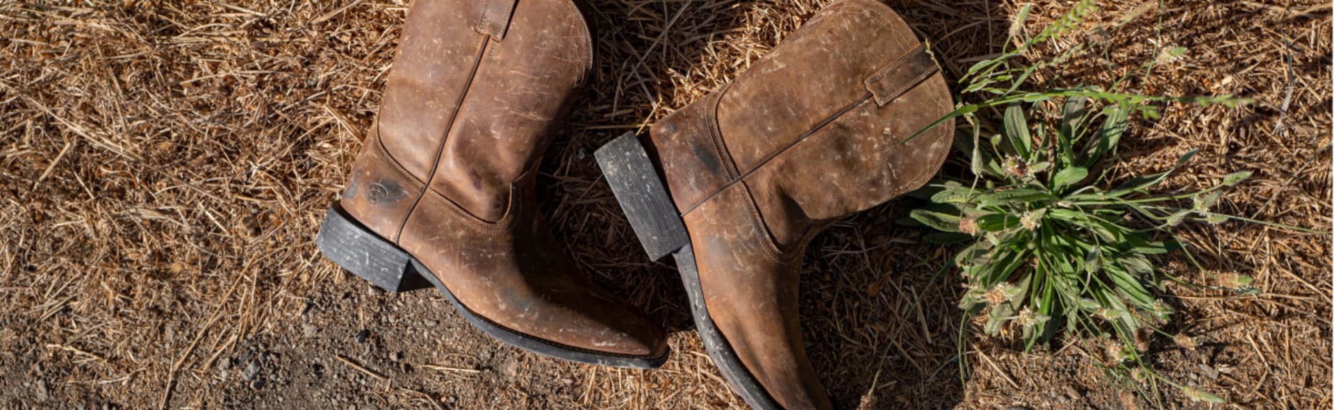 Ariat roper boots sale